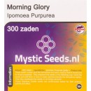 Morning Glory semen